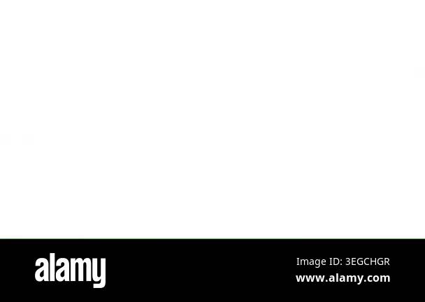light green vector backdrop with lines Stock Video Footage - Alamy