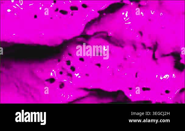 abstract green and black background. design template Stock Video ...