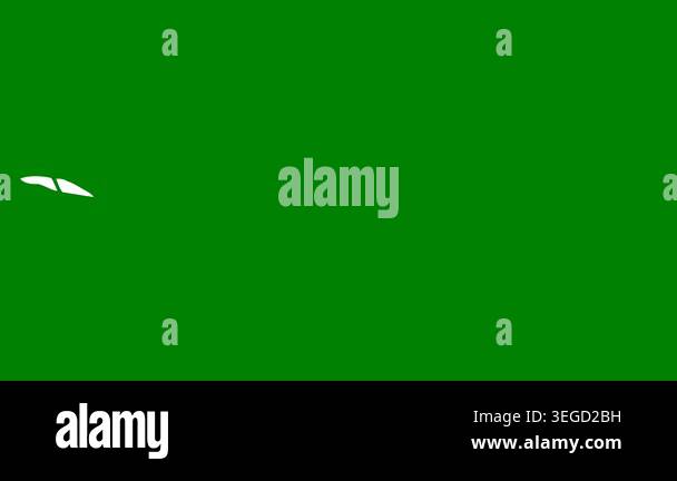 vector illustration of a green color background Stock Video Footage - Alamy