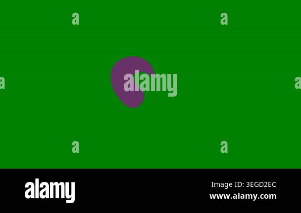 telephone sign icon, vector illustration Stock Video Footage - Alamy
