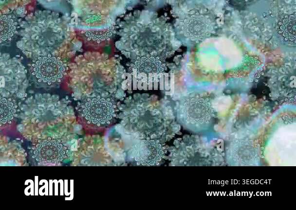 Motion footage background with colorful elements. Flowers. Vintage ...
