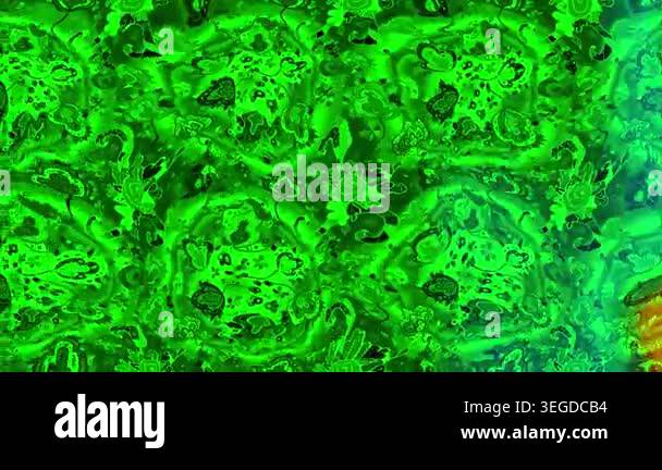 Motion footage background with colorful elements. Flowers. Vintage ...