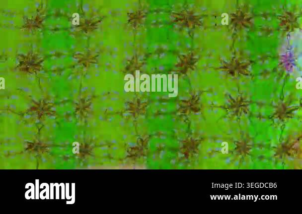 Motion footage background with colorful elements. Flowers. Vintage ...
