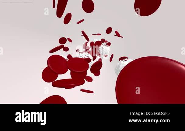 Red and white blood cells flowing in bloodstream, stylized 3D medical ...