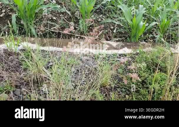 Beautiful View Of Nature Scene Stock Video Footage Alamy beautiful-view-of-nature-scene-stock-video-footage-alamy