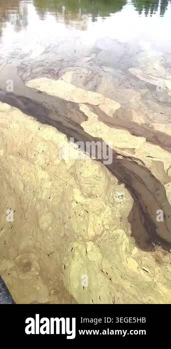 An aerial view of a water surface, streaked with bands formed by ...