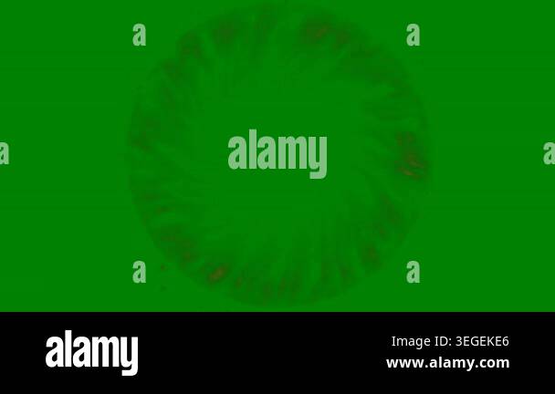 abstract green background, vector Stock Video Footage - Alamy