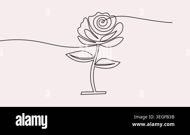 Rose Flower Continuous One Line Drawing Animation Video In 4k On A rose-flower-continuous-one-line-drawing-animation-video-in-4k-on-a