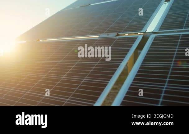 sunset solar panels with golden flare, sunlight glinting across ...