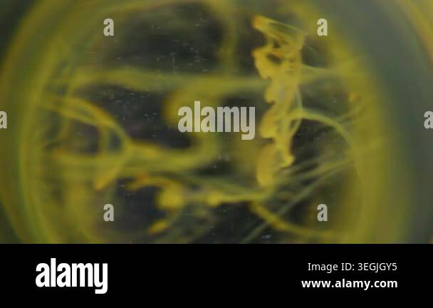Paint steam defocused. Vapor whirl. Circle color lens underwater splash ...