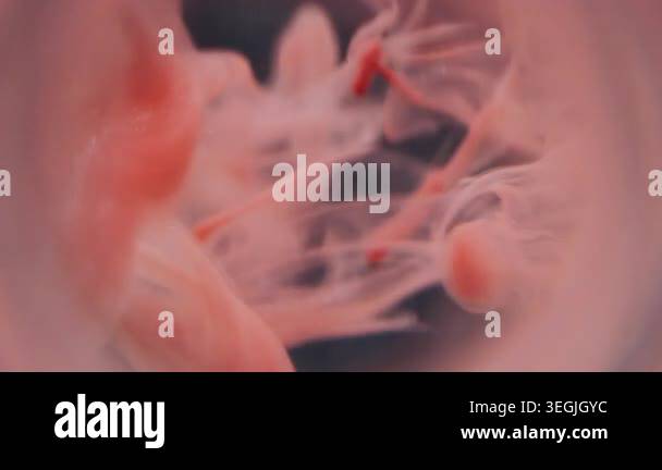 Dripping ink blur. Mix smoke. Red orange pigment mist flowing in black ...