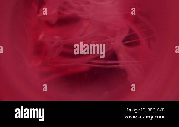 Defocused haze mix. Ink blob. Bright red pink color dye dissolving ...