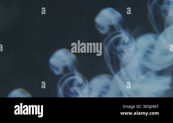 Defocused smoke swirl. Ink blob. Blue color dye dissolving underwater ...
