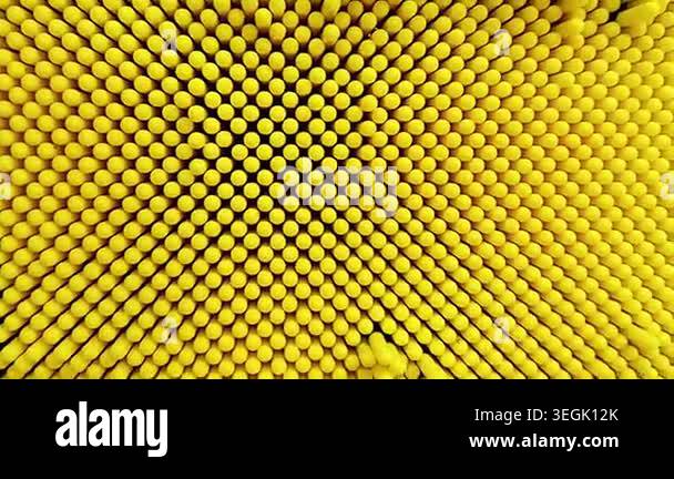 Human Hand Pressing Yellow Pin Art Board Texture Close Up Stock Video ...