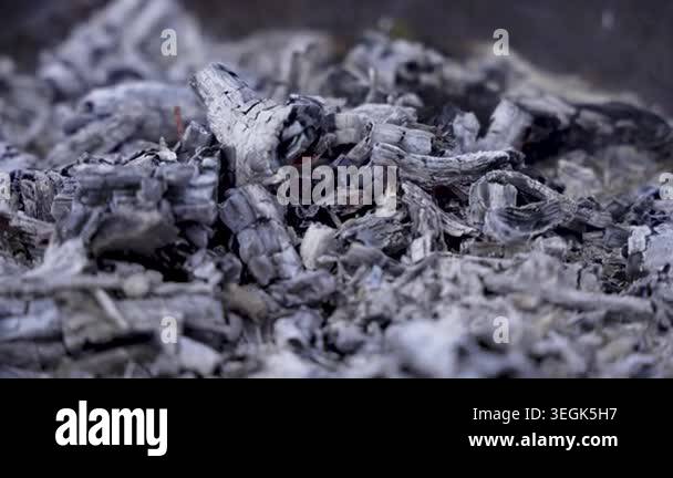Grey ash and charred wood smolder after a fire. Smoke, texture, embers ...