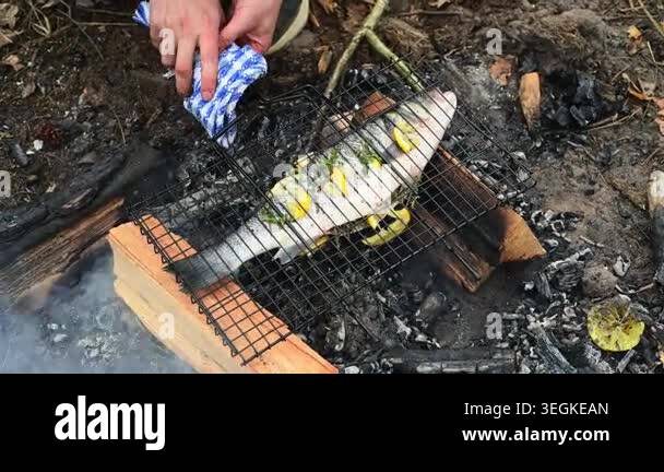 Close up of a hand holding a grill grate with fish over hot campfire ...