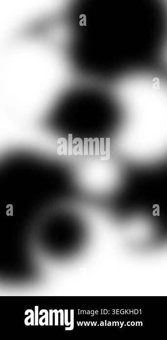 Dynamic Black and White Abstract Animation Motion Graphics Background ...
