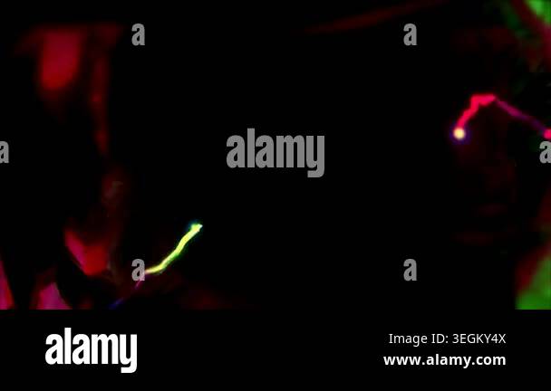 abstract colorful lights. vector art Stock Video Footage - Alamy