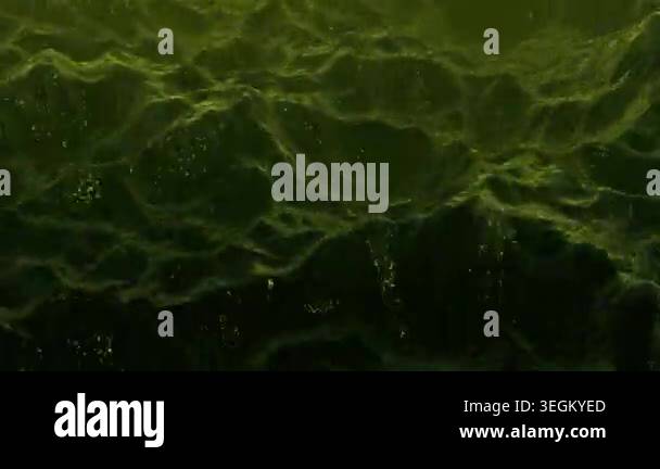 abstract digital fractal fantasy design 3 d illustration Stock Video ...