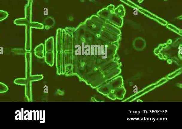 digital abstract green background Stock Video Footage - Alamy