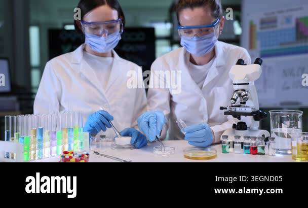 Focused chemists women test samples in glass flasks at lab workplace ...