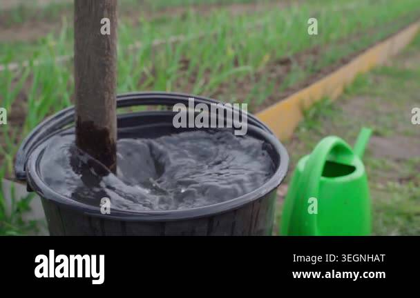 Mixing organic liquid fertilizer in black bucket with wooden stick in ...
