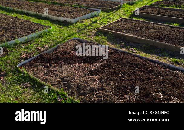 Slow motion spreading vermicompost on vegetable garden beds ...