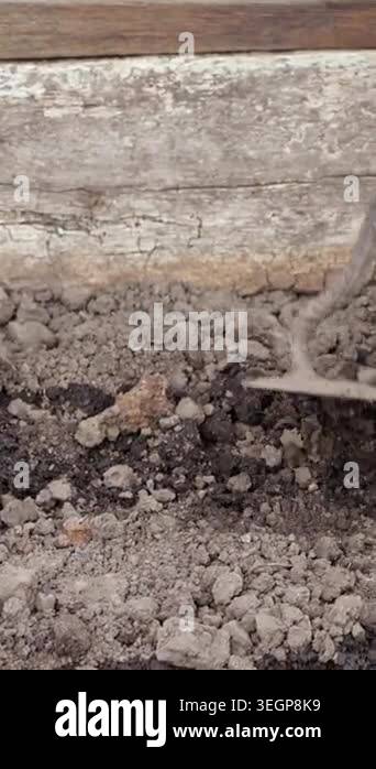 Metal tool cultivating and leveling dark brown garden earth in a rustic ...