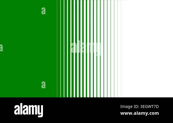 green color striped seamless pattern, vector illustration Stock Video ...