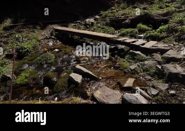 Walk along a wooden bridge over a small stream in a forest setting ...