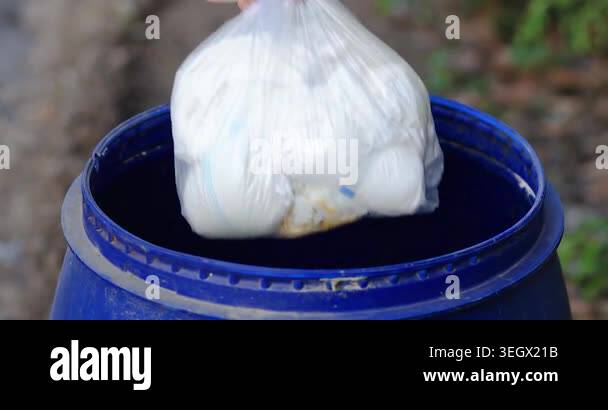 Hand throwing a white plastic garbage bag into a blue bin. Concept of ...