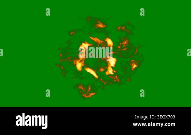 green leaf background. green leaf. ecology concept Stock Video Footage ...