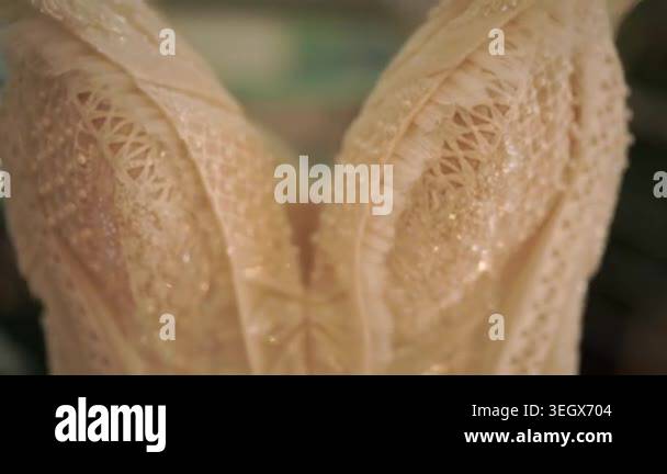 Sparkling beaded bodice closeup showing geometric lace patterns and ...