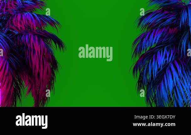 colorful feathers and feathers on a dark background. top view, flat lay ...