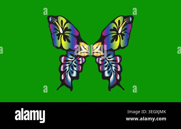 butterfly vector illustration, colorful vector icon Stock Video Footage ...