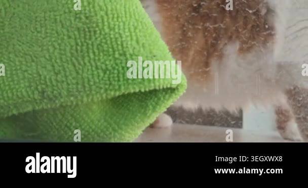 A close-up shot of a dusty glass surface being wiped clean with a cloth ...