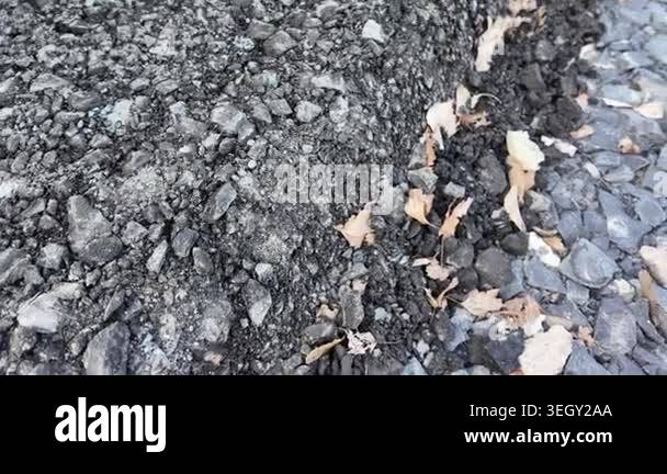 Infrastructure Texture Macro video of damaged asphalt pavement outdoors. Road texture with ...