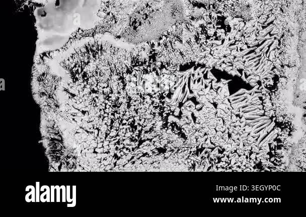 Abstract monochromatic animation of a grunge textured white ink on ...