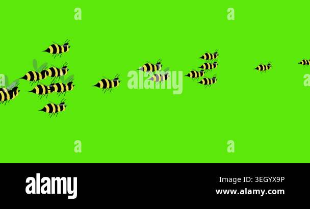 Cartoon Bees Flying in a direction on a green background Stock Video ...