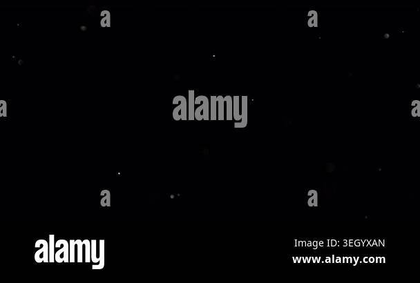 Super slow motion falling snow or dust particles isolated on a black ...