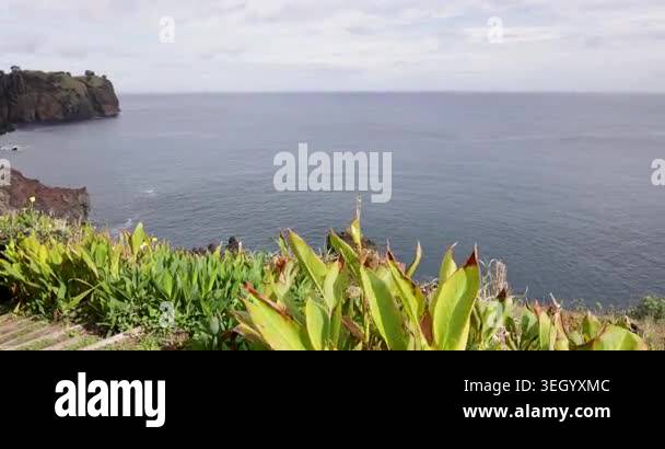 Walking with a beautiful view of the ocean and a rocky cliff in the ...