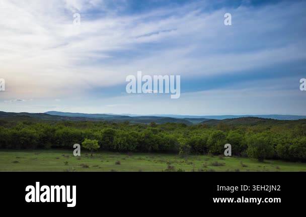 Wasteland with dry small wild bushes and withered grass in front of a ...