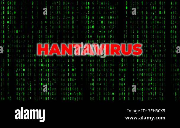A digital matrix code background with green falling characters and a ...
