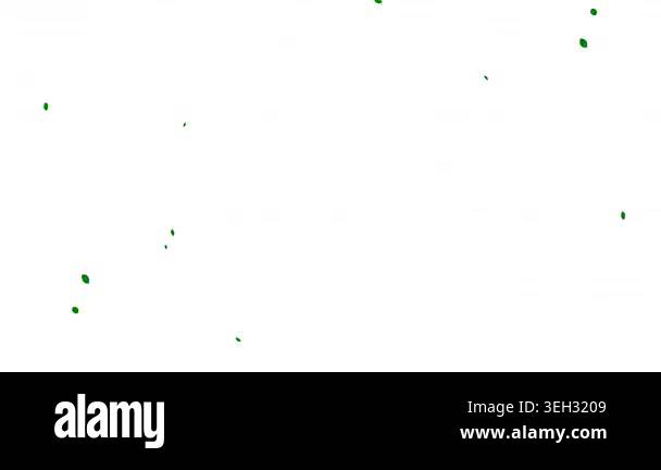 light green vector texture with disks. abstract illustration with ...