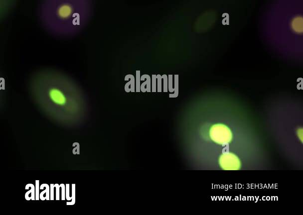 Glowing cells are shown under a microscope in a laboratory setting ...