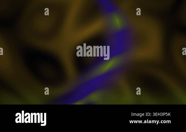Blurry video of a microscopic biological sample with blue and green ...