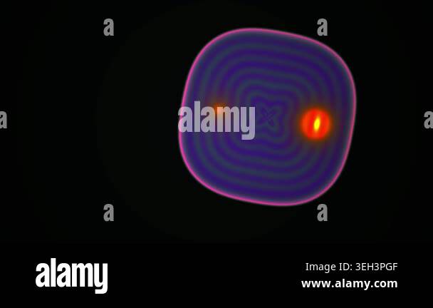 Microscopic view of cell structures Stock Video Footage - Alamy