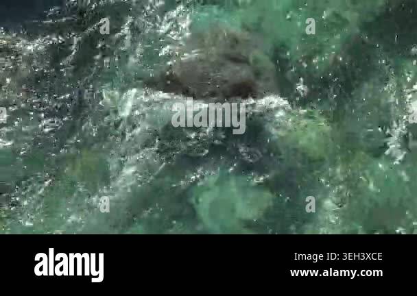 Clear green river water flowing over a stony rocky stream bed in the ...