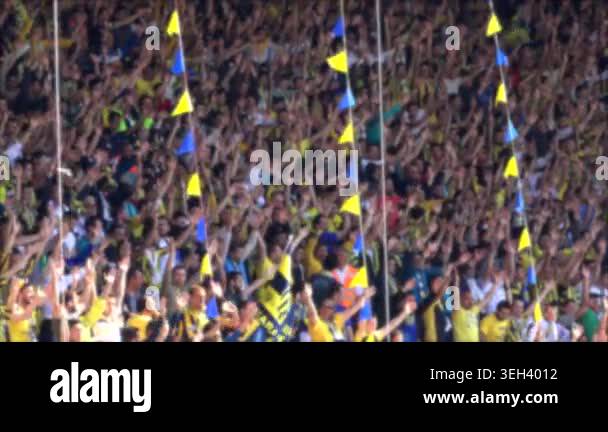 Football fans dance celebrate in smoky stadium with crowd joy, singing ...