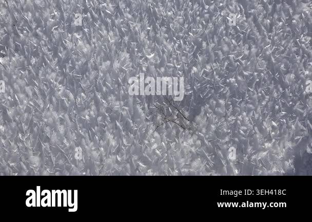 Hoarfrost crystals cover a frozen surface, forming delicate winter ...